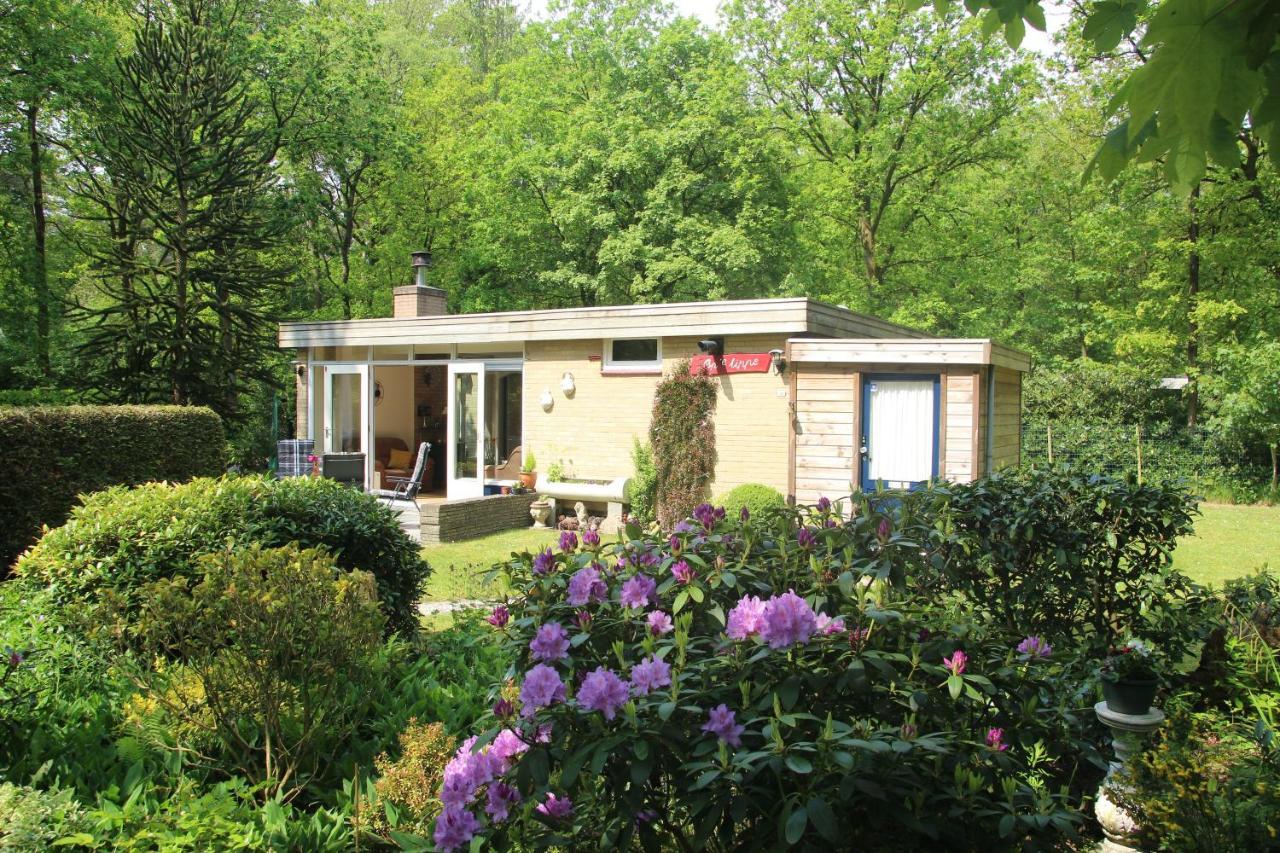 Valouwe 54 Apartamento Appelscha Exterior foto